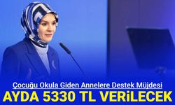 Çocuğu okula giden annelere ayda 5330 TL verilecek: Başvuru nasıl yapılır?