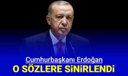 Cumhurbaşkanı Erdoğan o sözlere sinirlendi