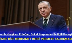 Cumhurbaşkanı Erdoğan Sokak Hayvanları Düzenlemesiyle İlgili Açıklama Yaptı!