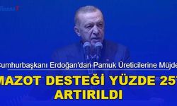 Cumhurbaşkanı Erdoğan'dan Pamuk Üreticilerine Müjde! Mazot Desteği Yüzde 257 Artırıldı