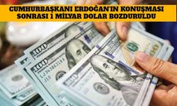 Cumhurbaşkanı Erdoğan'ın Konuşması Sonrası 1 Milyar Dolar Bozduruldu