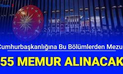 Cumhurbaşkanlığı Bu Bölümlerden Mezun Olan 55 Memur Alımı Yapacak