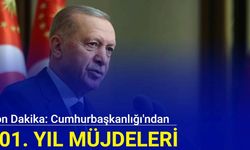 Cumhurbaşkanlığı'ndan 101. yıl müjdeleri geldi