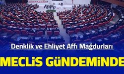 Denklik ve ehliyet affı mağdurları TBMM gündeminde