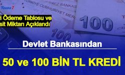 Devlet Bankası 50 Bin ve 100 Bin TL Kredi Veriyor: Başvurusu ve Kredi Hesaplaması Açıklandı