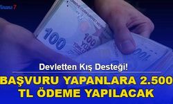 Devletten Kış Desteği! Başvuru Yapanlara 2.500 TL Ödeme Yapılacak