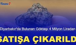 Diyarbakır'da bulunan göktaşı 4 milyon liradan satışa çıkarıldı