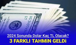 Dolar 2024'te kaç TL olacak? 3 farklı tahmin yayınlandı