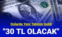 Citi'den Dolar tahmini geldi: "30 TL olacak"