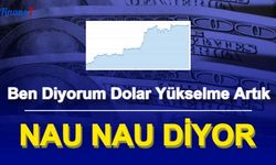 Dolar TL Kaldığı Yerden Devam: İşte Son Tahminler