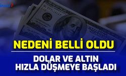 Dolar ve Altın Hızlı Düşmeye Başladı (Döviz ve Altın Neden Düşüyor?)