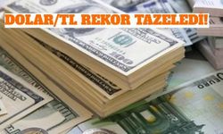 Dolar/TL Rekor Tazeledi!