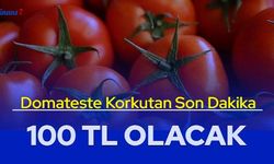 Domateste korkutan açıklama: Kilosu 100 TL