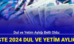 Dul ve yetim aylığı belli oldu: İşte 2024 dul ve yetim aylığı