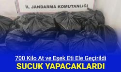 Durdurulan tırdan 700 kilo at ve eşek eti çıktı: Sucuk yapacaklarmış