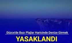 Düzce'de bazı plajlar haricinde denize girmek yasaklandı