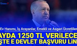 E Devlet Başvuru Ekranı Yeniden Açıldı: Devletten Ev Hanımı, İş Arayan, Emekli ve Asgari Ücretliye 1250 TL Aile Destek Ödemesi
