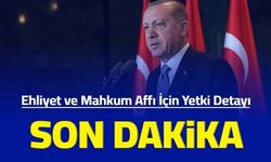 Ehliyet ve mahkum affı için yetki detayı