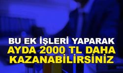 Ek İş Arayanlara Müjde: Bu İşlerle Ayda 2000 TL Daha Fazla Kazanabilirsiniz