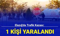 Elazığ'da trafik kazası: 1 kişi yaralandı