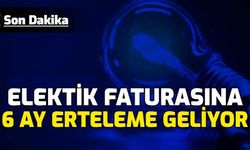 Elektrik Faturasına 6 Ay Erteleme Geliyor