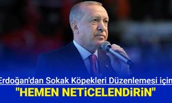 Erdoğan'dan sokak köpekleri düzenlemesi için talimat