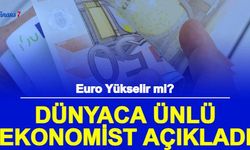 Euro'da Düşüş Devam Edecek mi? Dünyaca Ünlü Uzman Açıkladı İşte Düşüşün 3 Nedeni