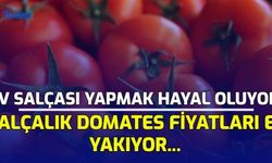 Ev Salçası Yapmak Hayal Oluyor! Salçalık Domates Fiyatları El Yakıyor...