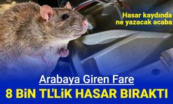 Fare, arabaya 8 bin TL'lik hasar verdi