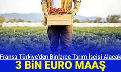 Fransa, Türkiye'den 3 bin Euro maaşla binlerce tarım işçisi alımı yapacak: Başvuru nasıl yapılacak?