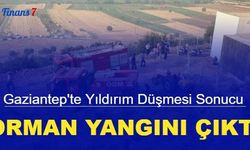 Gaziantep'te yıldırım düşmesi sonucu orman yangını çıktı