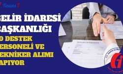 Gelir İdaresi Başkanlığı 80 Destek Personeli ve Tekniker Alımı Yapıyor