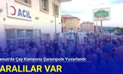 Giresun'da çay kamyonu şarampole yuvarlandı: Yaralılar var