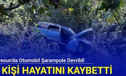 Giresun'dan son dakika: Otomobil şarampole devrildi