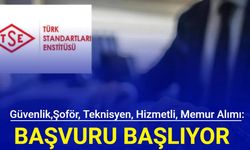 Güvenlik, şoför, teknisyen, hizmetli, memur alımı: TSE 184 personel alımı başvurusu başlıyor 2024