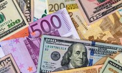 Hafta'nın İlk İşlem Gününde Dolar ve Euro Ne Kadar Oldu ?