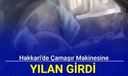 Hakkari'de çamaşır makinesine yılan girdi