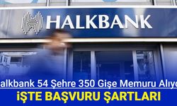 Halkbank 54 şehre KPSS'siz gişe memuru alımı yapıyor