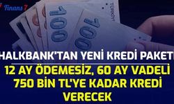 Halkbank'tan Yeni Kredi Paketi: 12 Ay Ödemesiz, 60 Ay Vadeli 750 Bin TL'ye Kadar Kredi Verecek