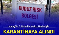 Hatay'da 2 mahalle kuduz nedeniyle karantinaya alındı