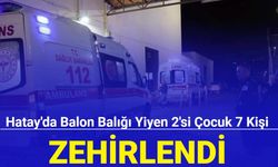 Hatay'da balon balığı yiyen 2'si çocuk 7 kişi zehirlendi