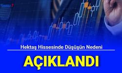 Hektaş Hissesinde Düşüşün Nedeni Belli Oldu: #HEKTS