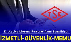 Hizmetli, tekniker, memur, güvenlik alımı: TSE 34 personel alımı başvurusu sona eriyor 2024