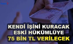 İŞKUR, Kendi İşini Kuracak Eski Hükümlüye 75 Bin TL Hibe Verecek: İşte Başvuru Şartları