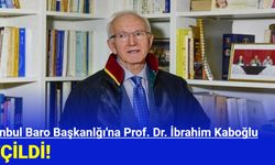 İstanbul Baro Başkanı Prof. Dr. İbrahim Kaboğlu Oldu