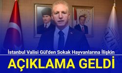 İstanbul Valisi Gül'den sokak hayvanlarına ilişkin açıklama