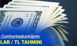 İşte Cumhurbaşkanlığı OVP Dolar / TL tahmini