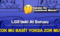 İşte LGS'de Sorulan At Sorusunun Cevabı