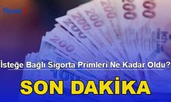 İsteğe Bağlı Sigorta Primleri Ne Kadar Oldu? İşte 2023 İsteğe Bağlı Sigorta Primi Zammı