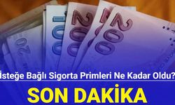 İsteğe bağlı sigorta primleri ne kadar oldu? İşte 2024 isteğe bağlı sigorta prim zammı
